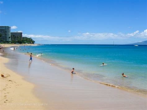 Kaanapali Beach & Black Rock Snorkeling Secrets! Local Insider Advice!