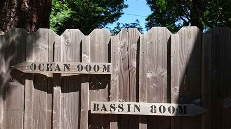 Maison En Bois Les Mimosas Cap Ferret Location Saisonni Re