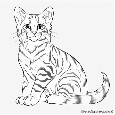 Coloring Bengal Cats Pages Cat Katzen Colouring Ausmalen Zum