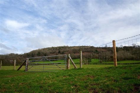 a wooden gate in the middle of a grassy field