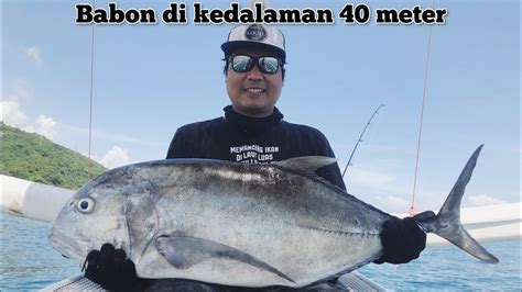 Light Jigging Di Kedalaman Meter Isinya Babon Semua Youtube