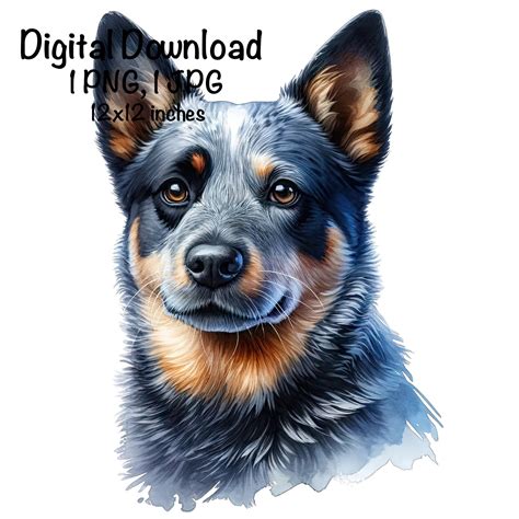 Australian Cattle Dog Sublimation PNG, Cute Blue Heeler Dog Portrait