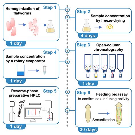 Cell Press Star Protocols