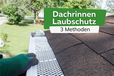 Dachrinnen Laubschutz 3 bewährte Methoden