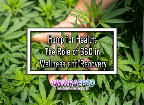 Hemp For Health The Role Of Cbd In Wellness And Recovery