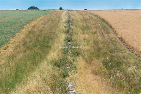 Hutchinson Photography Images Of Agriculture And Rural Life Five