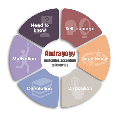 Andragogy: Adapting Learning for Adults