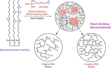 Polymers From Plant Oils Springerlink