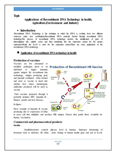 Prodcut Of Recombinat Dna Technology Pdf Recombinant Dna Plant