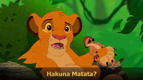 Hakuna Matata Funny Gif - Edward Elric Wallpapers