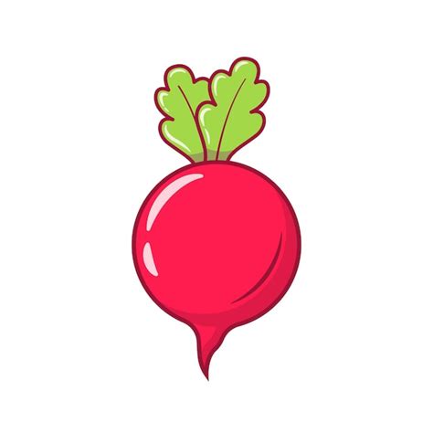 Premium Vector Fresh Radish Vegetable Vector Illustration Cartoon Icon