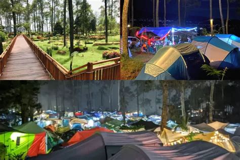 Tempat Camping Dan Glamping Seru Di Tahun Baru Keindahan Kebon Pines