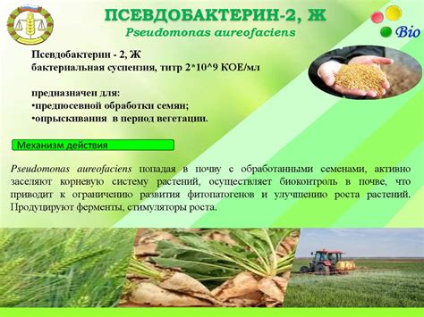 Биологические средства защиты растений - online presentation