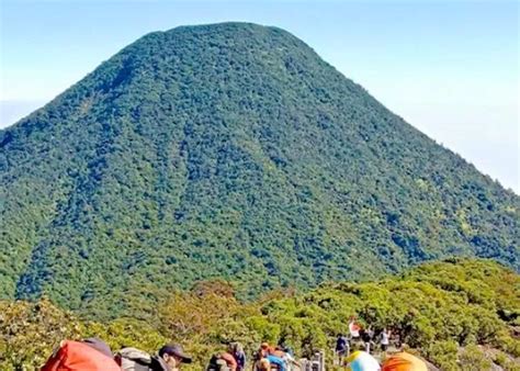 Mitos Dan Misteri Gunung Gede Pangrango Keindahan Alam Yang Diselimuti