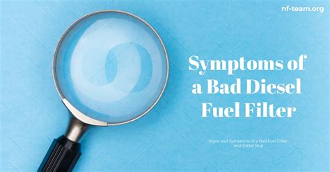 Symptoms of a Bad Diesel Fuel Filter: How to Spot and Treat Diesel Bug