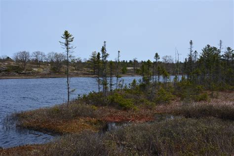 Torrance Barrens Conservation Reserve 3924 Southwood Road Flickr