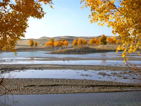 River running through the Taklamakan Desert, Xinjiang, China [OS] [2592