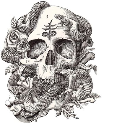 Discover 82 Snake Skull And Rose Tattoo In Coedo Vn