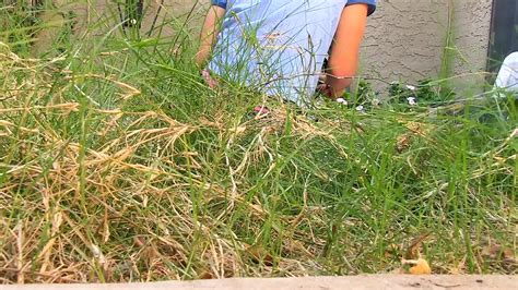 Newlywed Twinks Fucked Bare Part 2 100 Bareback Gay Teen Anal Porn XHamster