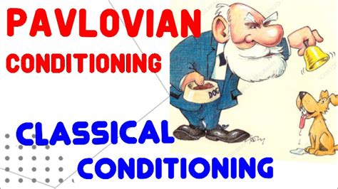 Pavlovian Conditioning Classical Conditioning Pavlovs Dog Study