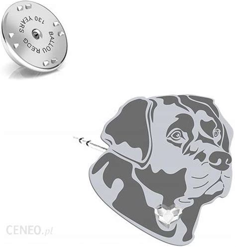 Mejk Jewellery Wpinka Srebrna Z Labrador Retriever 925 Ceny I Opinie