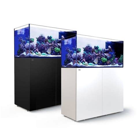 Red Sea Reefer Peninsula P500 White Aggies Aquarium