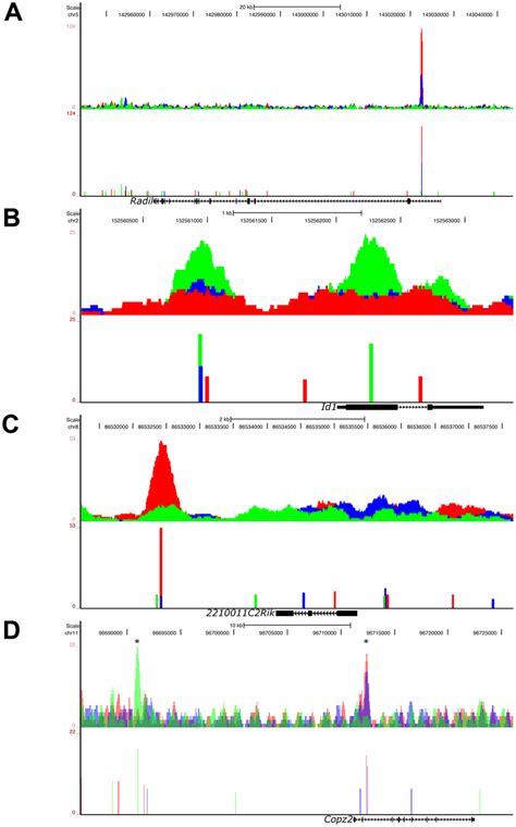 Graded Low Signaling Dominant High Signaling Dominant And Multimodal