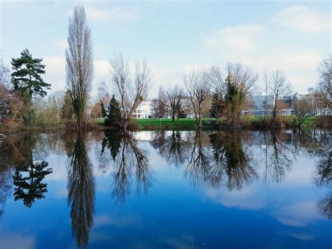 Reflets Plut T Tr S Fi Re De Ma Photo Auj Arnaud Bidon