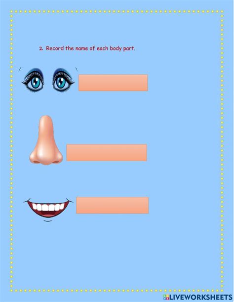 Body Parts Dafamar1504 Live Worksheets