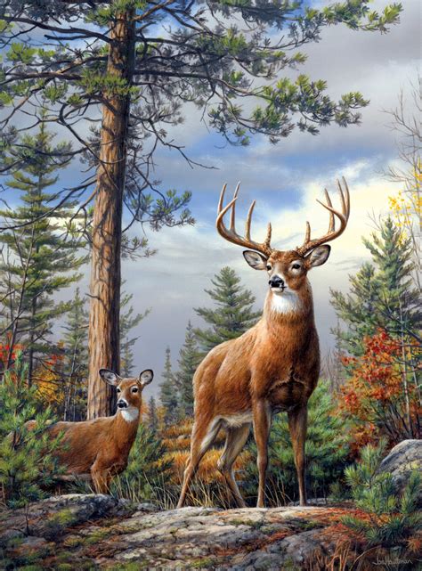 Jigsaw Puzzles Of Deer - Absolutely Stunning Wildlife Deer Puzzles