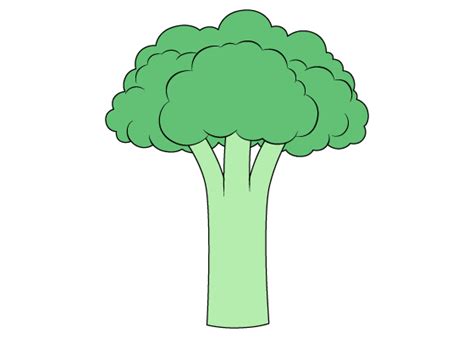 How to Draw Broccoli Step by Step - EasyLineDrawing