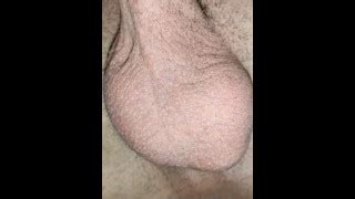 Wildlifepa S Porn Videos Pornhub