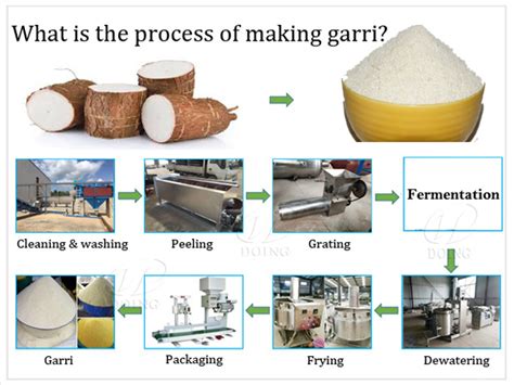 Technology Support For Making Garri With Gari Processing Machine Cassava Chips Production