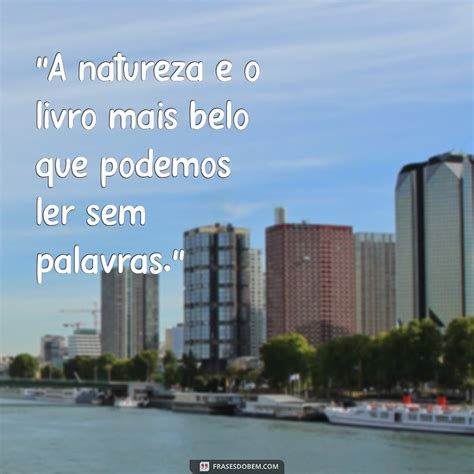 Natureza Arbitrária - Frases Inspiradoras para Celebrar a Beleza da Natureza - Frases do Bem