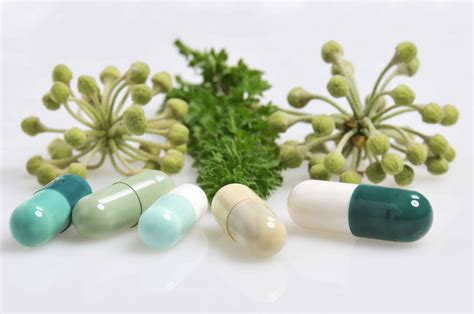 medicines with natural plant extracts, homeopathic and - SSMFG - #1 ...