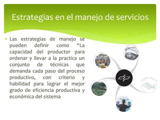 Tema Iii El Productos Servicios Ppt