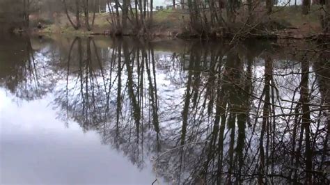 Llantarnam Ponds In Cwmbran Youtube