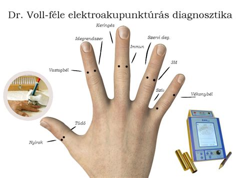 drvoll fele diagnosztika elixir studio