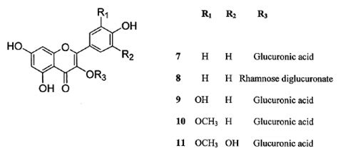 Proposed structures of flavonol derivatives tentatively identified in... | Download Scientific ...