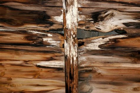 How To Get Rid Of Mold On Wood