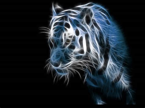 3d Tiger Wallpaper Wallpapersafari