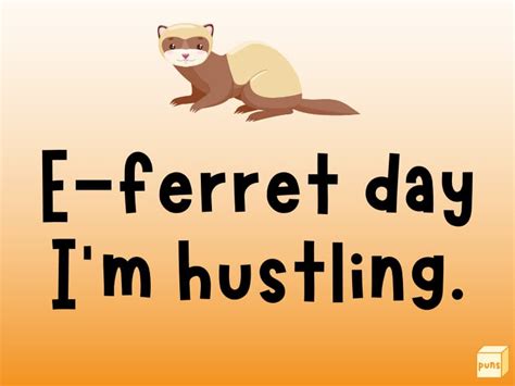 30+ Hilarious Ferret Puns to Make You Laugh - Box of Puns