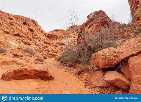 Landscape With Sandy Path Between Red Rocks Valley Of Fire Nevada