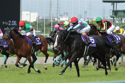 あきんど On Twitter 2023年6月25日日、阪神競馬場、11r、第64回 宝塚記念（gⅠ）、1着、5番、イクイノックス、c