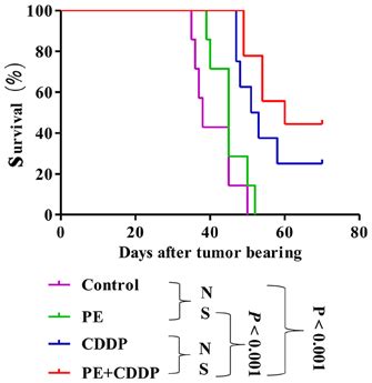 Survival Curve Of The Mice In The Four Groups Each Group Has 7 Mice