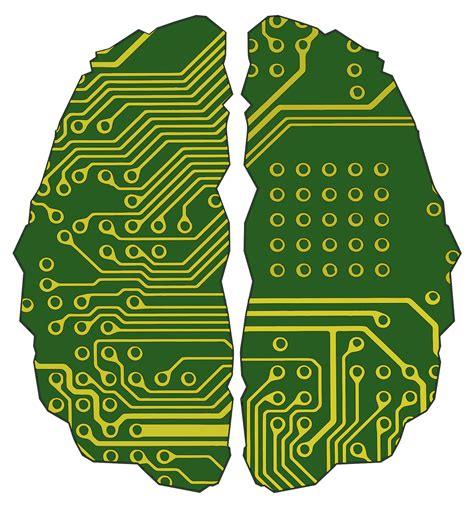 Download Cybernetic Brain Circuit Colour Svg Freepngimg