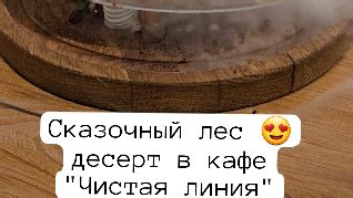 Дегустаторы путешествий | Удивительные десерты в кафе "Чистая линия" на ...