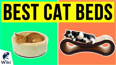 Top 10 Cat Beds Of 2020 Video Review