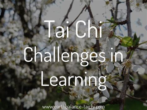 Managing Expectations In Tai Chi Handy Tips For Beginners