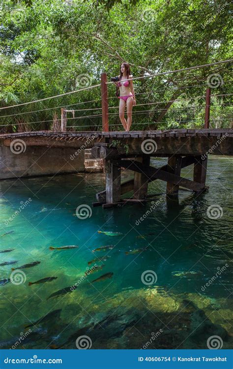 La Mujer Con El Bikini Se Coloca En El Puente Bonito El Brasil Foto De Archivo Imagen De